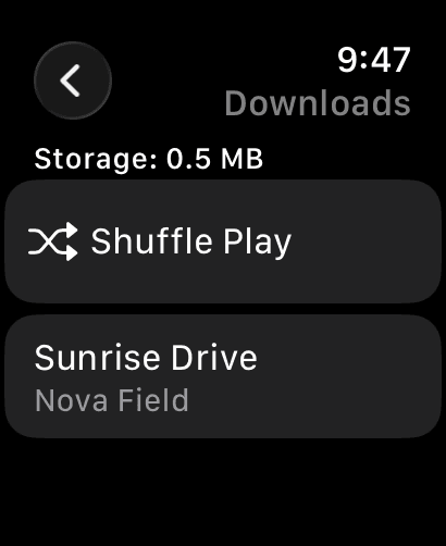 jwatch Downloads screen on Apple Watch
