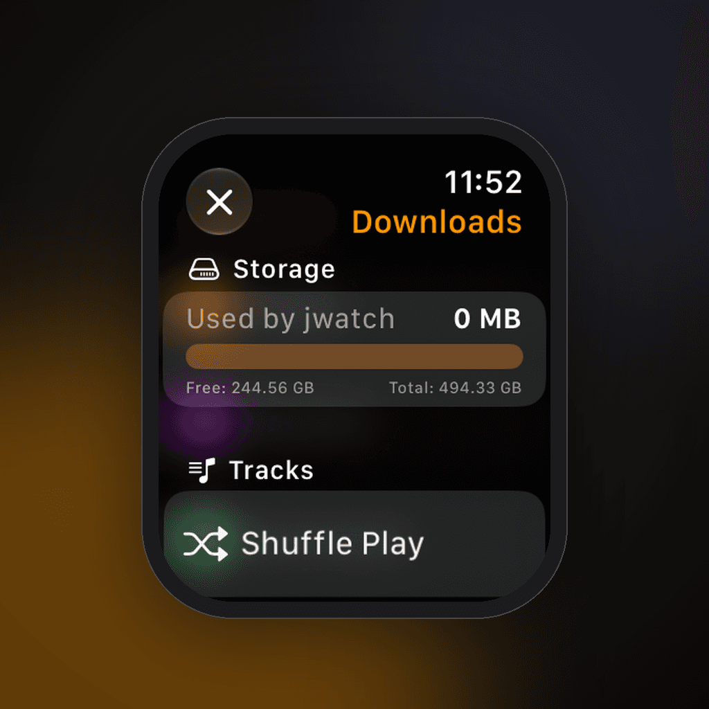 TunefinWatch Downloads screen on Apple Watch